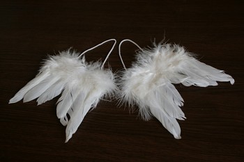 Andělská křídla - 2 páry