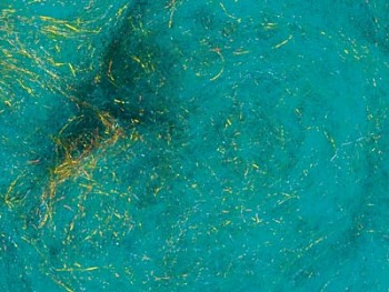 Ovčí vlna merino barvená mykaná 10 g - s leskem - tyrkysová 