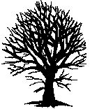 ENCAUSTIC Razítko - Strom bez listí