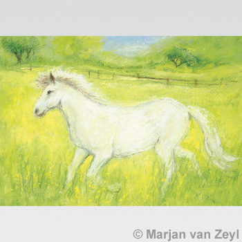 Obrázek Marjan van Zeyl - Bílý koník