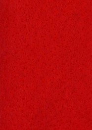 Prefelt 117g/m² metráž 120 x 50 cm - 361 červená