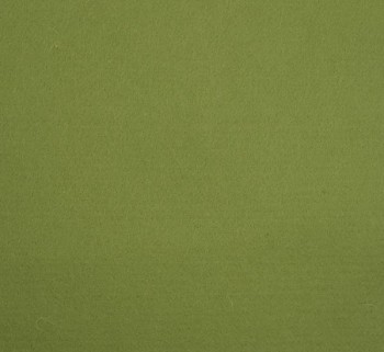 Filc 100% vlna - 1 mm - 25 x 183 cm - 41 zelená avokádová