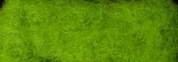 Ovčí vlna barvená mykaná 10 g - jemná - 07 zelená trávová