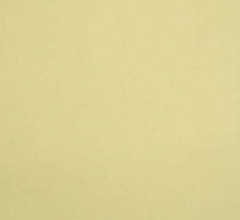 Filc 100% vlna - 3 mm - 25 x 183 cm - 13  zelená pastelová