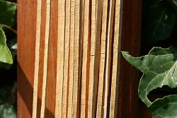 Kožený řemínek hranatý - vepřovice - 16 světle žlutý