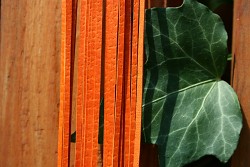 Kožený řemínek hranatý - vepřovice - 15 oranžový