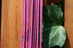 Kožený řemínek hranatý - vepřovice - 17 růžový