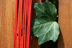 Kožený řemínek hranatý - vepřovice - 7 světle červený