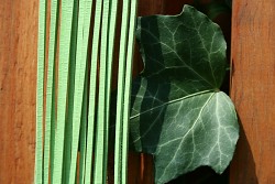 Kožený řemínek hranatý - vepřovice - 21 světle zelený