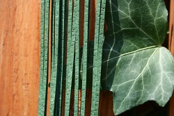 Kožený řemínek hranatý - vepřovice - 6 tmavě zelený