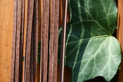 Kožený řemínek hranatý - vepřovice - 12 světle hnědý