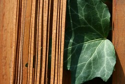 Kožený řemínek hranatý - vepřovice - 8 žluto-hnědý